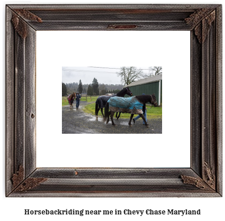 horseback riding near me in Chevy Chase, Maryland